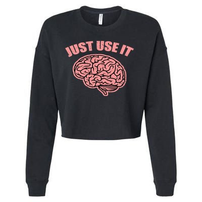 Just Use It Funny Brain Cropped Pullover Crew
