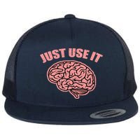 Just Use It Funny Brain Flat Bill Trucker Hat