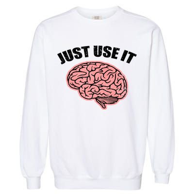 Just Use It Funny Brain Garment-Dyed Sweatshirt