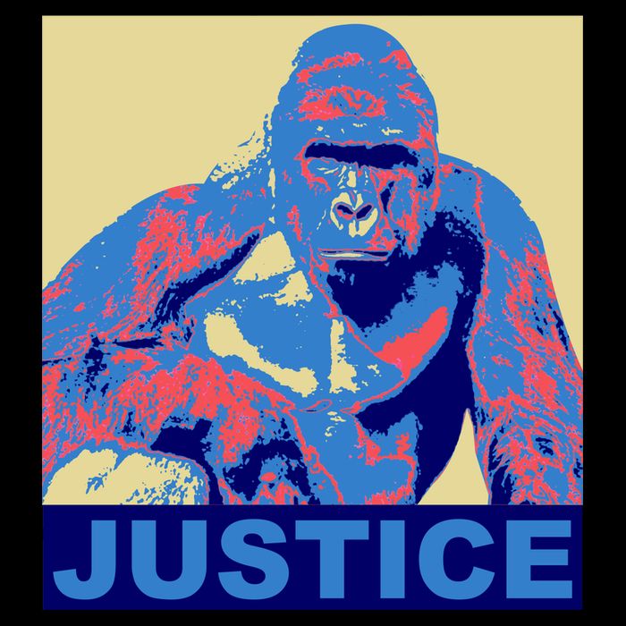 Justice For Harambe RIP Poster Baby Bodysuit
