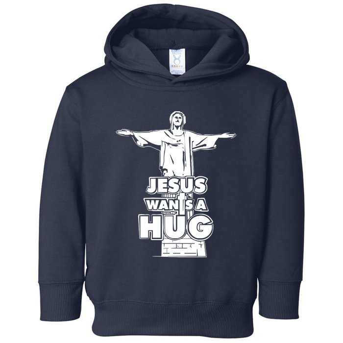 Jesus Wants A Hug Toddler Hoodie