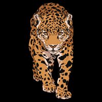 Jaguar Wild Animal Art Premium T-Shirt