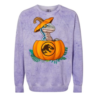 Jurassic World Halloween Dinosaur Pumpkin Logo Colorblast Crewneck Sweatshirt