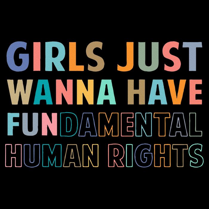Just Want To Have Fundamental Human Rights Feminist Wool Snapback Cap