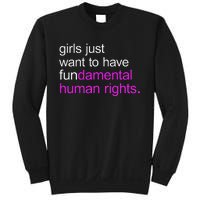 Just Want to Have Fundamental Human Rights Sweatshirt