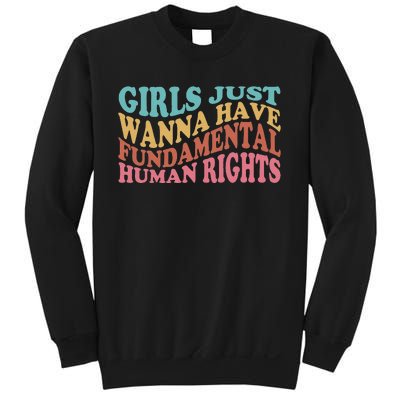 Just Want to Have Fundamental Human Rights Feminist Sweatshirt