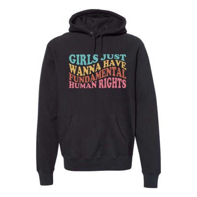 Just Want to Have Fundamental Human Rights Feminist Premium Hoodie