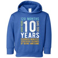 10th Birthday Gift 10 Years Old Vintage Retro 120 Months Toddler Hoodie