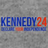 Kennedy 24 Declare Your Independence Rfk 2024 Election Toddler Hoodie