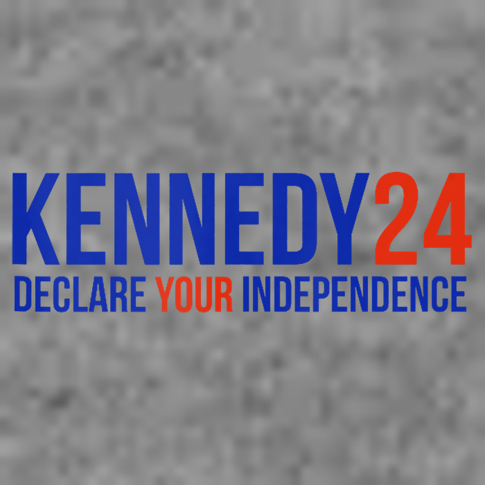 Kennedy 24 Declare Your Independence Rfk 2024 Election Toddler Hoodie