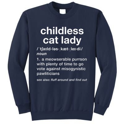 Kam47a 4 Usa Childless Cat Lady Funny Dictionary For 2024 President Kamalaharris Sweatshirt