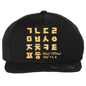 Korean Alphabet Consonant Writing Wool Snapback Cap