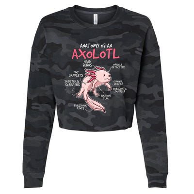 Kids Axolotl Gift Axolotl Stuff Anatomy Of An Axolotl Cropped Pullover Crew