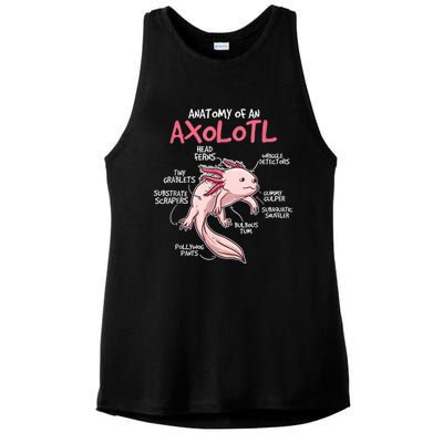 Kids Axolotl Gift Axolotl Stuff Anatomy Of An Axolotl Ladies PosiCharge Tri-Blend Wicking Tank