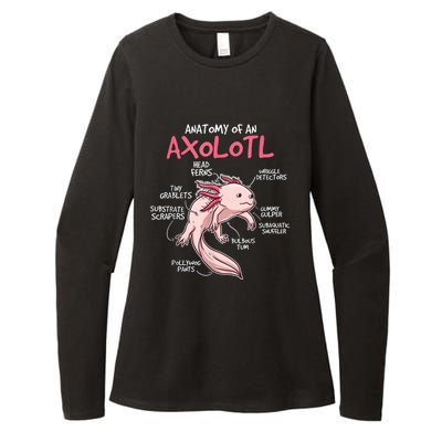 Kids Axolotl Gift Axolotl Stuff Anatomy Of An Axolotl Womens CVC Long Sleeve Shirt