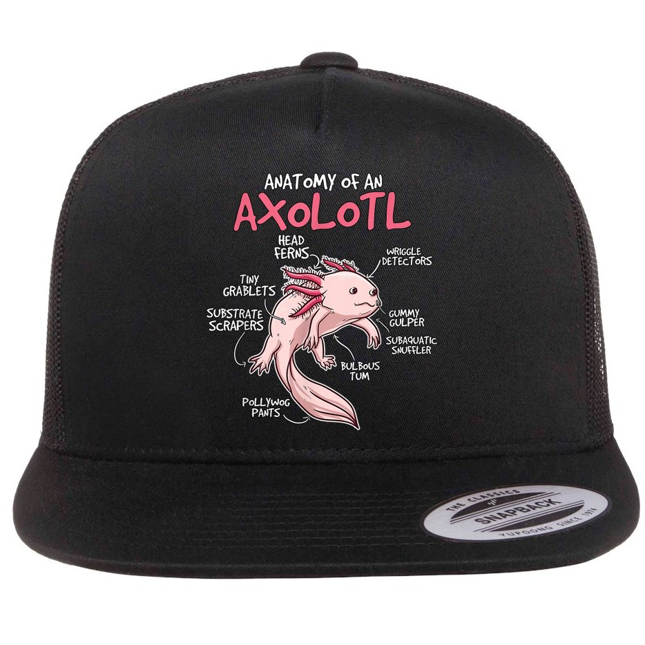 Kids Axolotl Gift Axolotl Stuff Anatomy Of An Axolotl Flat Bill Trucker Hat
