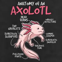 Kids Axolotl Gift Axolotl Stuff Anatomy Of An Axolotl Golf Towel