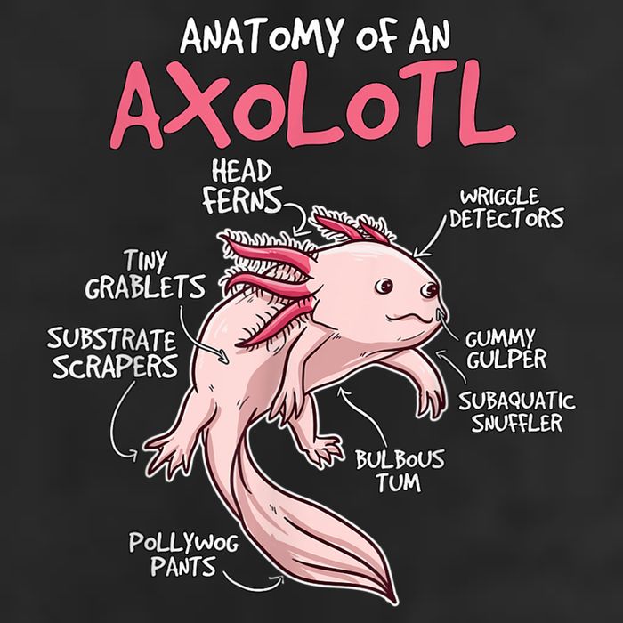Kids Axolotl Gift Axolotl Stuff Anatomy Of An Axolotl Golf Towel