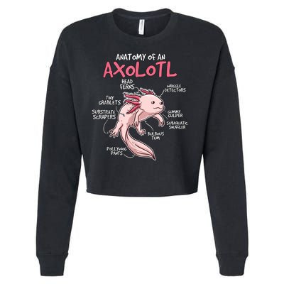 Kids Axolotl Gift Axolotl Stuff Anatomy Of An Axolotl Cropped Pullover Crew