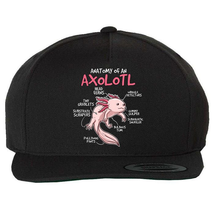 Kids Axolotl Gift Axolotl Stuff Anatomy Of An Axolotl Wool Snapback Cap