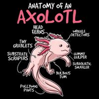 Kids Axolotl Gift Axolotl Stuff Anatomy Of An Axolotl Wool Snapback Cap