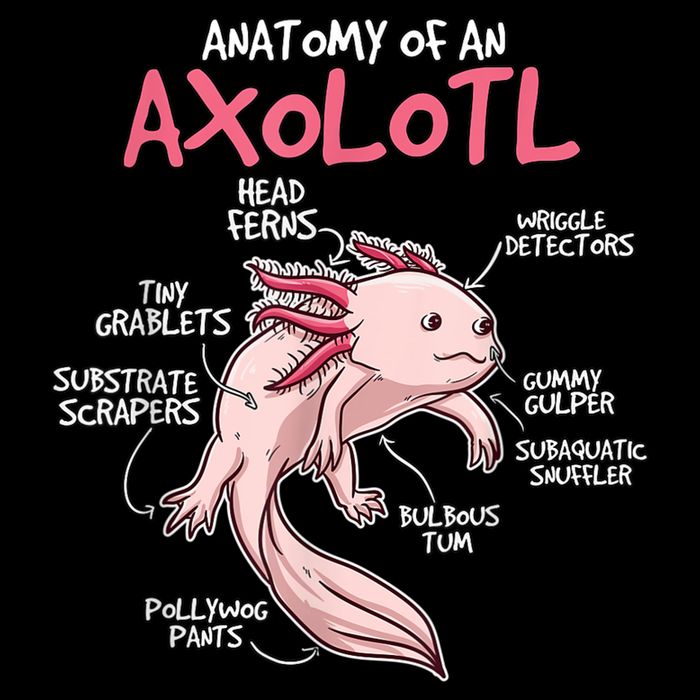 Kids Axolotl Gift Axolotl Stuff Anatomy Of An Axolotl Wool Snapback Cap