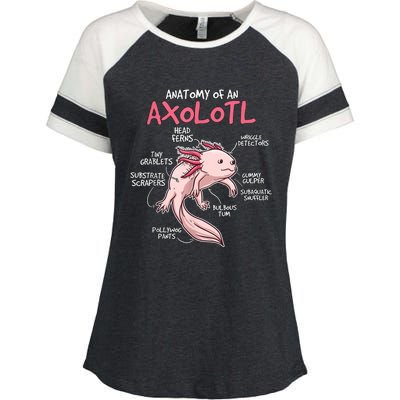 Kids Axolotl Gift Axolotl Stuff Anatomy Of An Axolotl Enza Ladies Jersey Colorblock Tee