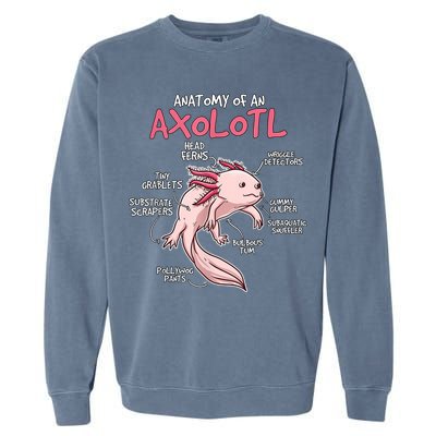 Kids Axolotl Gift Axolotl Stuff Anatomy Of An Axolotl Garment-Dyed Sweatshirt