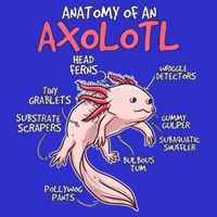 Kids Axolotl Gift Axolotl Stuff Anatomy Of An Axolotl Apron