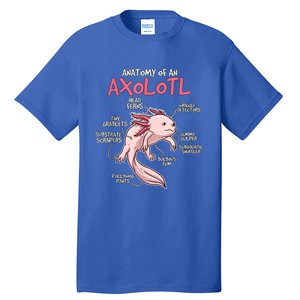 Kids Axolotl Gift Axolotl Stuff Anatomy Of An Axolotl Tall T-Shirt