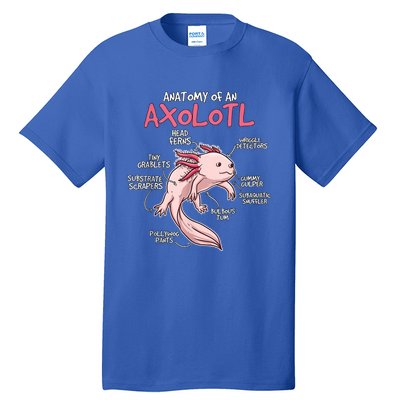 Kids Axolotl Gift Axolotl Stuff Anatomy Of An Axolotl Tall T-Shirt