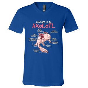 Kids Axolotl Gift Axolotl Stuff Anatomy Of An Axolotl V-Neck T-Shirt