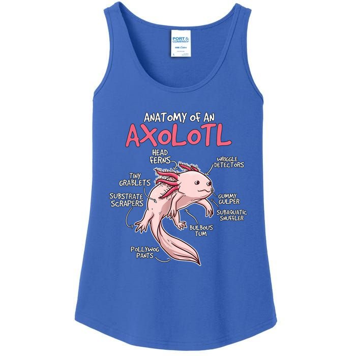 Kids Axolotl Gift Axolotl Stuff Anatomy Of An Axolotl Ladies Essential Tank