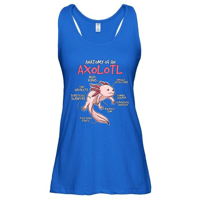 Kids Axolotl Gift Axolotl Stuff Anatomy Of An Axolotl Ladies Essential Flowy Tank