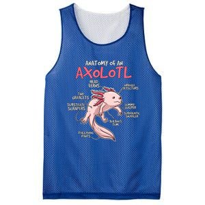 Kids Axolotl Gift Axolotl Stuff Anatomy Of An Axolotl Mesh Reversible Basketball Jersey Tank