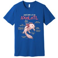 Kids Axolotl Gift Axolotl Stuff Anatomy Of An Axolotl Premium T-Shirt