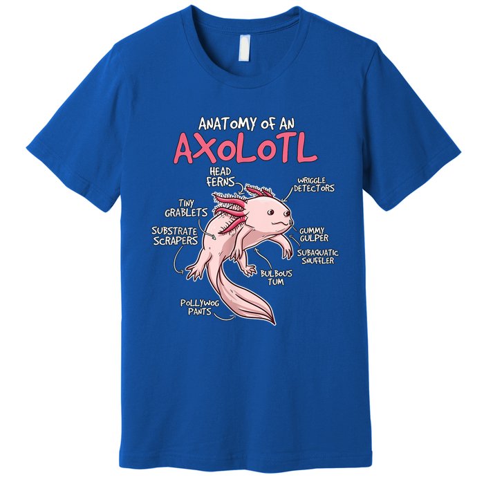 Kids Axolotl Gift Axolotl Stuff Anatomy Of An Axolotl Premium T-Shirt