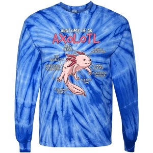 Kids Axolotl Gift Axolotl Stuff Anatomy Of An Axolotl Tie-Dye Long Sleeve Shirt