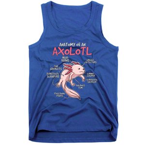 Kids Axolotl Gift Axolotl Stuff Anatomy Of An Axolotl Tank Top