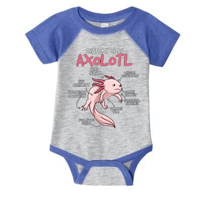Kids Axolotl Gift Axolotl Stuff Anatomy Of An Axolotl Infant Baby Jersey Bodysuit