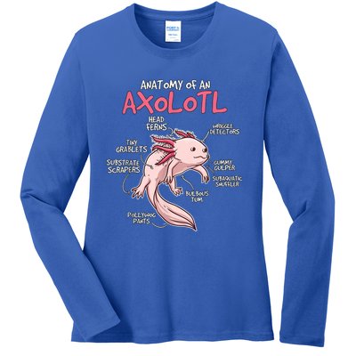 Kids Axolotl Gift Axolotl Stuff Anatomy Of An Axolotl Ladies Long Sleeve Shirt