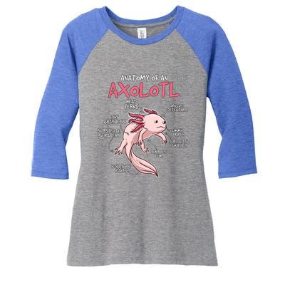 Kids Axolotl Gift Axolotl Stuff Anatomy Of An Axolotl Women's Tri-Blend 3/4-Sleeve Raglan Shirt