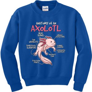 Kids Axolotl Gift Axolotl Stuff Anatomy Of An Axolotl Kids Sweatshirt