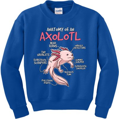 Kids Axolotl Gift Axolotl Stuff Anatomy Of An Axolotl Kids Sweatshirt