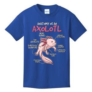 Kids Axolotl Gift Axolotl Stuff Anatomy Of An Axolotl Kids T-Shirt