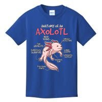 Kids Axolotl Gift Axolotl Stuff Anatomy Of An Axolotl Kids T-Shirt