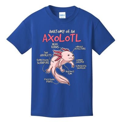 Kids Axolotl Gift Axolotl Stuff Anatomy Of An Axolotl Kids T-Shirt