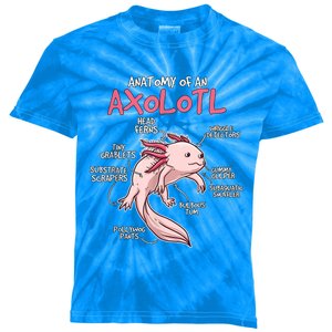 Kids Axolotl Gift Axolotl Stuff Anatomy Of An Axolotl Kids Tie-Dye T-Shirt