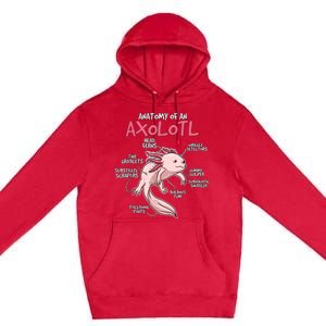 Kids Axolotl Gift Axolotl Stuff Anatomy Of An Axolotl Premium Pullover Hoodie