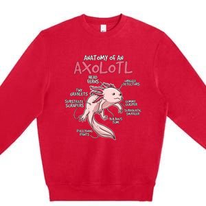 Kids Axolotl Gift Axolotl Stuff Anatomy Of An Axolotl Premium Crewneck Sweatshirt